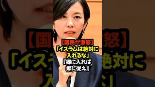 #参政党 #梅村みずほ #参政党は止まらない #政治ニュース #政治 #政治系チャンネル #shorts