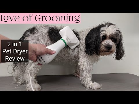 Pet grooming dryer