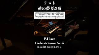 Download lagu リスト:愛の夢 第3番 / Liszt: Liebestraume No.3 小瀧俊治 #piano #ピアノ mp3 Download lagu リスト:愛の夢 第3番 / Liszt: Liebestraume No.3 小瀧俊治 #piano #ピアノ mp3