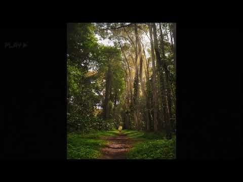 [FREE] guardin x hamilton midwest emo type beat | "green"