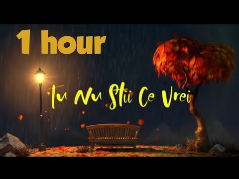 Rashid X @Theo Rose - Nu Mai Stii  (1hour)