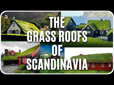 Why are GREEN / GRASS ROOF common in Scandinavia ?