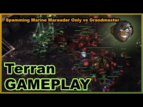 This TvZ Strategy Is So Easy To Macro