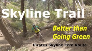 Skyline from Pirates to Fern (Plumbers) Big Bear