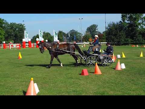 Fahrturnier Ostenfelde 14.8.2021