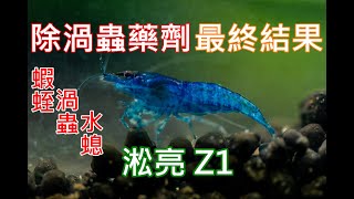 輕鬆除渦蟲 | 渦蟲蝦蛭水螅通殺！ | 淞亮 Z1 實測(下) | SL AQUA Aquarium Bio Protector | clean planarian and hydra quicky