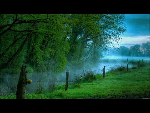 Tajo Kadajas - Keegi tulla võib