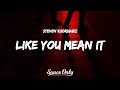 Steven Rodriguez - Like You Mean It (Lyrics)