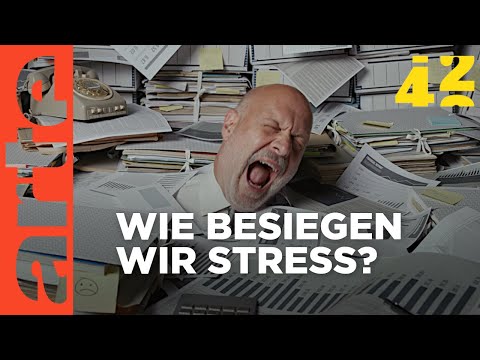 Brauchen wir mehr Stress?  | 42 - Die Antwort auf fast alles | ARTE