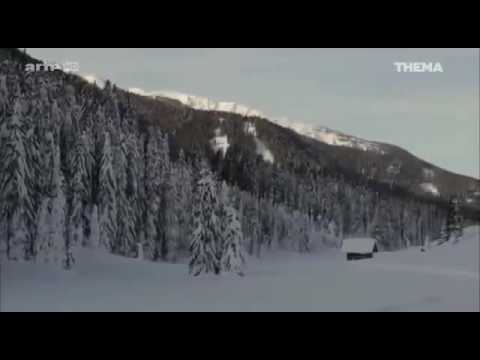 Wie Staaten ihre Wälder und Berge verschleudern