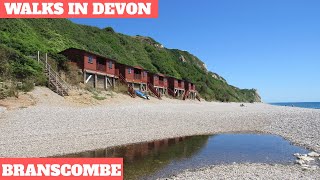 WALKS IN DEVON at BRANSCOMBE (4K)