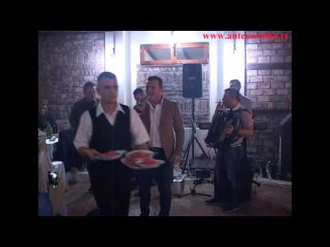 Muzicka zabava Krusevac 2014 - Tigrovi i Srecko Krecar - Žal, Šardvani..