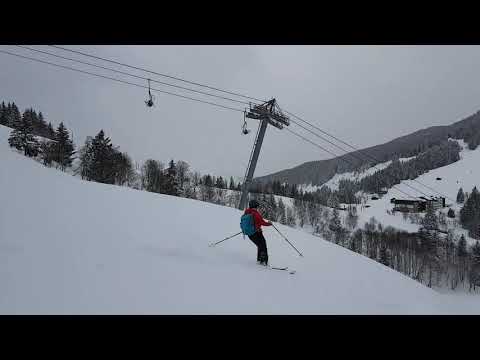 Prarion a bit of fresh