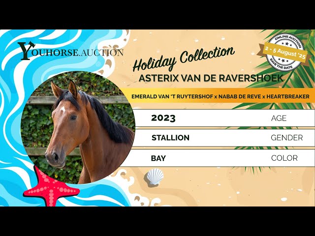 Asterix van de Ravershoek