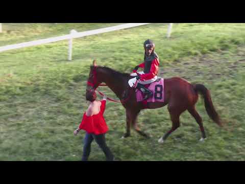 BTC RACE DAY 14TH FEB 2026   RACE 8