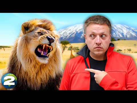 7 Continents In 7 Days - Africa (Day 2)