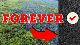 The secret to a moss free tarmac driveway