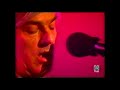 ROBYN HITCHCOCK If you know time