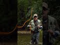 Dry Fly Fishing Advice