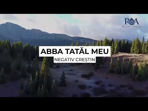 ABBA TATAL MEU | NEGATIV RUGUL APRINS