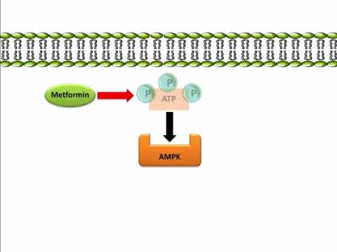Gluconorm-VG 2 Plus Tablet SR