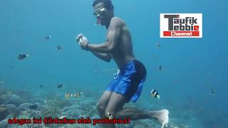 preview picture of video 'Amazing !!! Orang Atauro Timor Leste Tangkap Ikan Pakai Tangan Kosong'