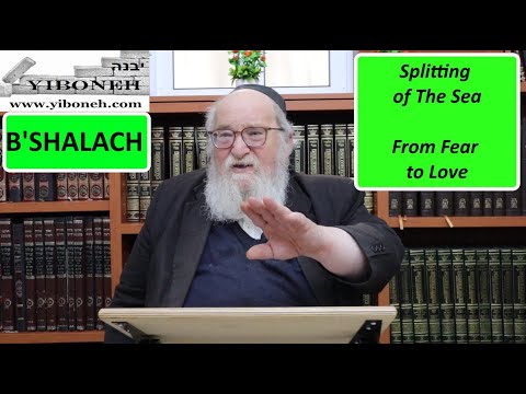 Rav Yitzchak Breitowitz: Splitting of The Sea - From Fear to Love