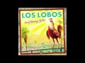 LOS LOBOS - Hearts Of Stone