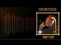 Sylvester Don T Stop JTV 2024 Remix