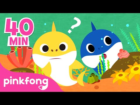 Onde está o Papai Tubarão? e mais músicas infantis | +Compilação | Pinkfong Canções para crianças