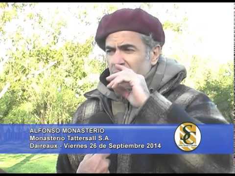 La Cassina - Nota Alfonso Monasterio - Daireaux - 26/09/2014