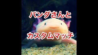 【フォートナイト】ライブ配信　参加型カスタムマッチ　パンダさんとコラボ【カスタム】