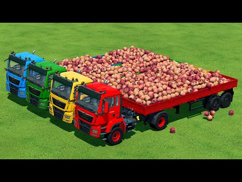 LOAD AND TRANSPORT APPLES WITH MAN TRUCKS AND MCCORMICK TRACTOR - Farming Simulator 22