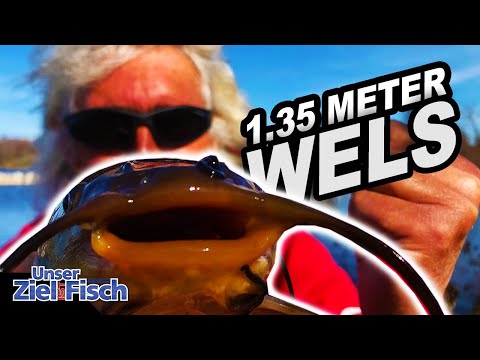 Catfish want worms! Float on tasty pests - Our goal is fish - JÖRG OVENS fishing school