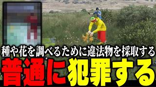 【ストグラ2】街で噂の種や花に近づくために”違法物”を摘んでしまうパンチャン【パンチャン】【ぱんくん】