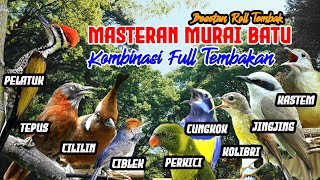 Download lagu MASTERAN MURAI BATU HARIAN - FULL ISIAN TEMBAKAN‼️ mp3 Download lagu MASTERAN MURAI BATU HARIAN - FULL ISIAN TEMBAKAN‼️ mp3