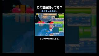 【DS Newマリオ 裏技】水が引いたのに…  #shorts  #Newマリ #Newスーパーマリオブラザーズ  #バグ