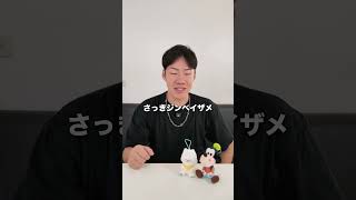 【速報】セブ島オスロブのジンベイザメが突然消えた！6年在住が現地から緊急報告【フィリピン留学・セブ島観光】