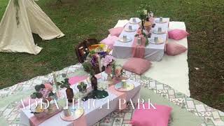 DIY Picnic for birthday party