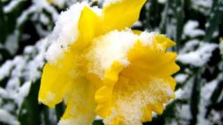 Kenny-G / Ocean breeze