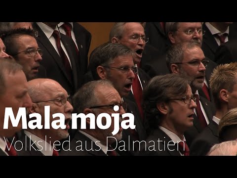 Mala moja | Dalmatian folk song [w English subtitles] Traditional Men's Chorus Male Voice Choir MVC