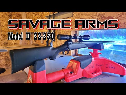 Savage Arms Model 2 in 22-250 Rifle Review