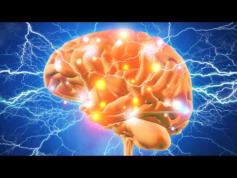 What is MTHFR – Dr Berg Explains in Simple Terms