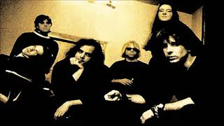 Mercury Rev - Chasin&#39; A Bee (Peel Session)