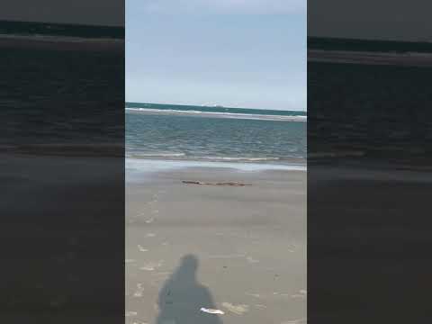 #short #shorts #tiktok #instareel #instagram #trending #viral #whatsapp #video #beach 🔥 #sea