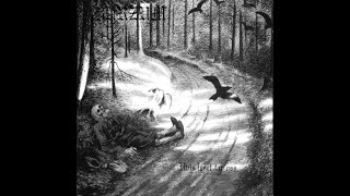 Burzum - Inn I Slottet Fra Drømmen [Lyrics + English Translation]