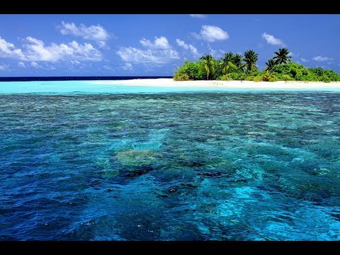 ➤Дикие острова Европы✅приключения про необитаемые острова✅  | ТВ документальные фильмы