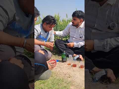 Desi comedy #comedyvideo #comedy #teambeniwal
