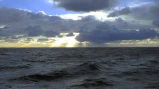 The Bird of Heaven Cries Jerry Lee Miiler (ft. Nancy Honeytree)