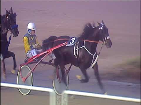 Trotto 08/12/2019 - 5ª corsa - G.P. MIPAAF